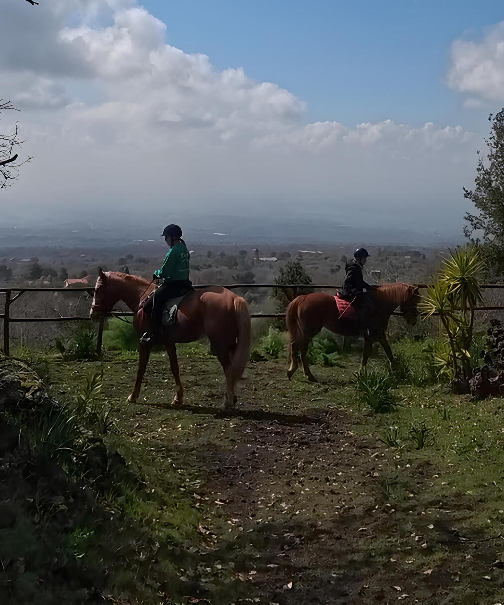 Escursione a Cavallo Escursione a cavallo sull'etna
